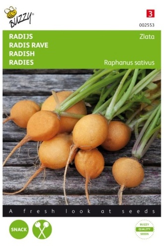 Reďkovka žltá guľatá Zlata cca 2,5 g